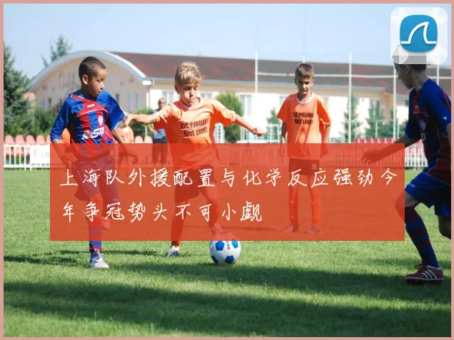 上海队外援配置与化学反应强劲今年争冠势头不可小觑