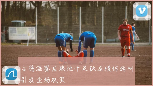 古德温赛后狼性十足狄龙模仿狗叫引发全场欢笑
