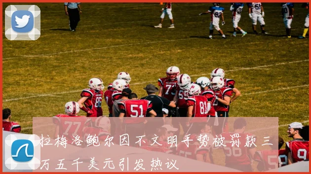 拉梅洛鲍尔因不文明手势被罚款三万五千美元引发热议