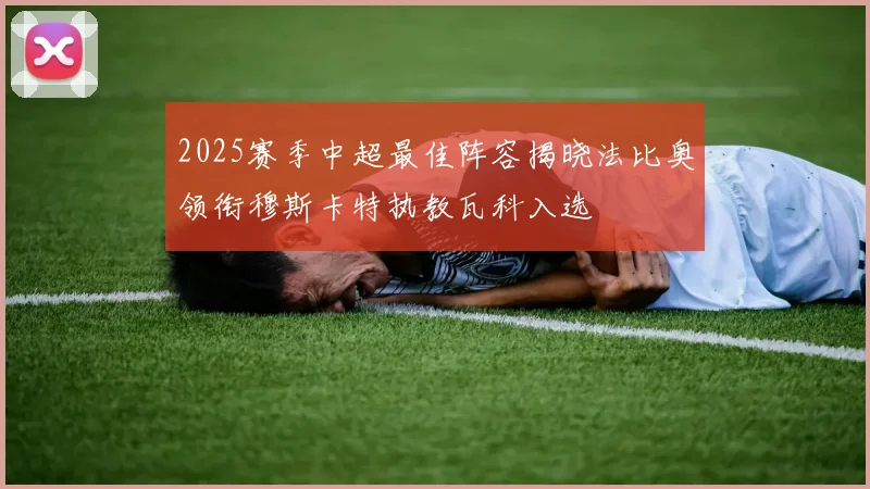 2025赛季中超最佳阵容揭晓法比奥领衔穆斯卡特执教瓦科入选